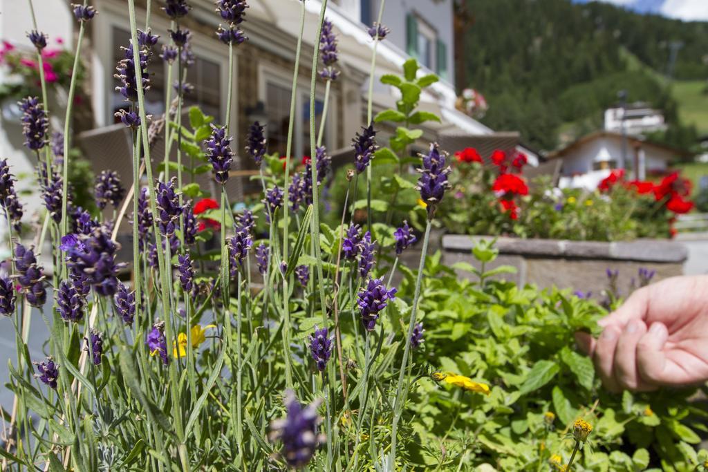 Chalet Madrisa Corvara In Badia Εξωτερικό φωτογραφία